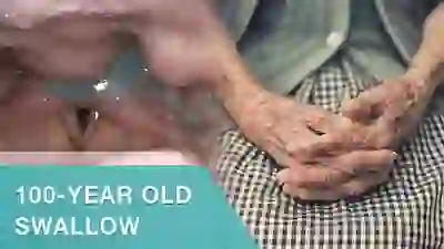 100 year old swallow YT Thumbnail