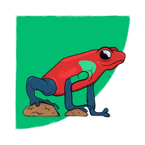 R-CPD frog icon