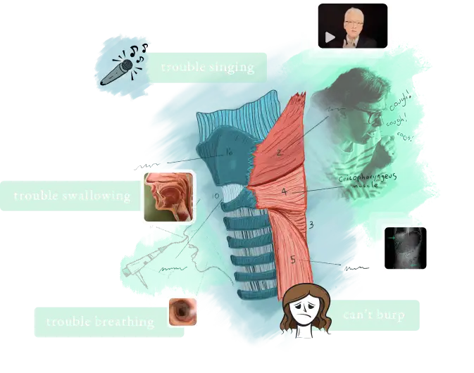 Laryngopedia  Encyclopedia for Laryngology by Dr. Robert Bastian