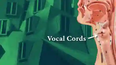 Asymmetrical Vocal Cords YouTube Thumbnail